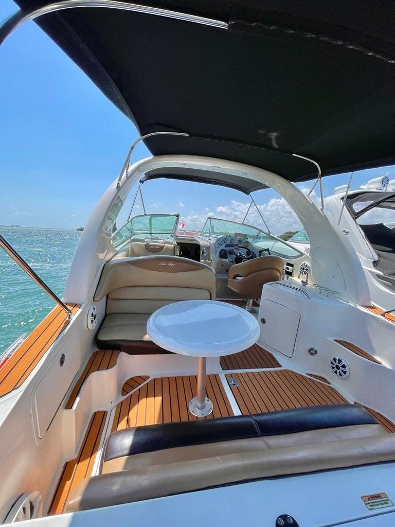 Sea Ray Sundeck 28ft - Imagen 6