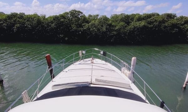 Sea Ray Flybrige 47ft